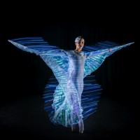 Spellbound - LED Dancers