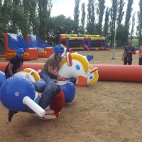 It's A Knockout!