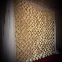 South East Flower Wall Hire