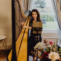 The East Yorkshire Harpist