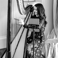 The East Yorkshire Harpist
