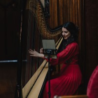 The East Yorkshire Harpist