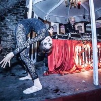 The Horror Circus