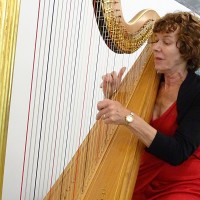 The Hampshire Harpist