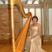 The Hampshire Harpist