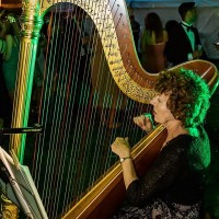 The Hampshire Harpist