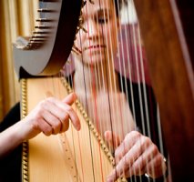 The East Sussex Harpist