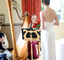 The East Sussex Harpist