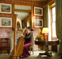 The East Sussex Harpist