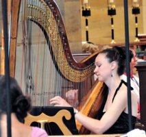 The East Sussex Harpist