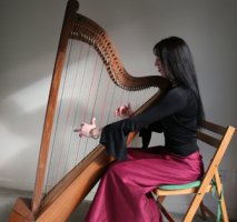 The Nottinghamshire Harpist