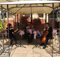 The Buckinghamshire String Trio & Quartet