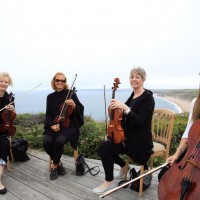 The South West String Quartet