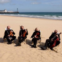 The Dorset String Quartet