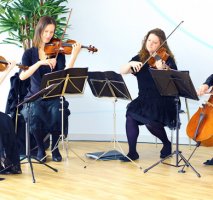 Wedding Days String Quartet