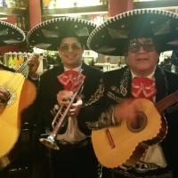 Mariachi Margarita - Mariachi Band