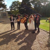 Mariachi Margarita - Mariachi Band