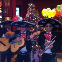 Mariachi Margarita - Mariachi Band