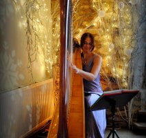 The Gloucestershire Harpist