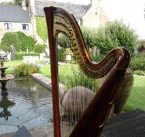 The Gloucestershire Harpist