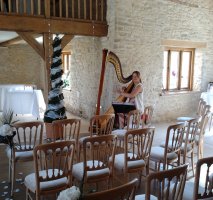 The Gloucestershire Harpist