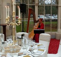 The Gloucestershire Harpist