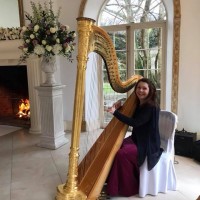 Hayley the Hampshire Harpist