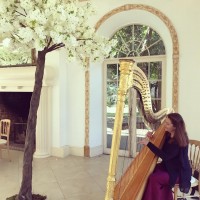 Hayley the Hampshire Harpist