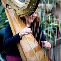 Hayley the Hampshire Harpist