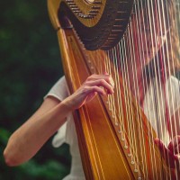 The Derbyshire Harpist
