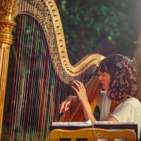 The Derbyshire Harpist