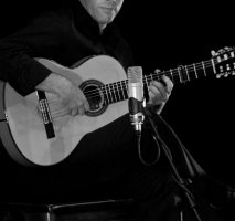 Glenn Plays Flamenco Guitar