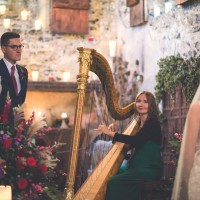 The Kent Harpist