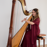 The Scottish Harpist