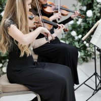 Maestoso Strings