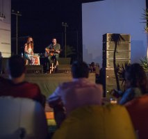 Elegantly Wild Acoustic Duo