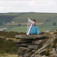 The West Yorkshire Harpist