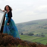 The West Yorkshire Harpist