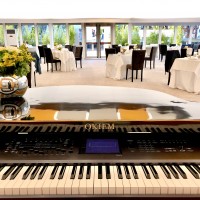 Oak The Piano