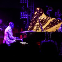 Oak The Piano