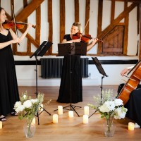 The Ruby String Trio