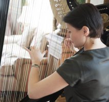 The Edinburgh Harpist