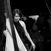 The Edinburgh Harpist