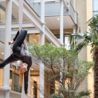 Kat - Aerial Performer