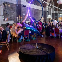 Kat - Aerial Performer
