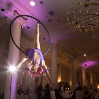 Kat - Aerial Performer