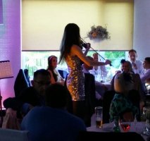 Electric Violin 