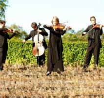 Scottish Strings