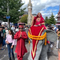 Elephants In The Room