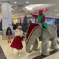 Elephants In The Room